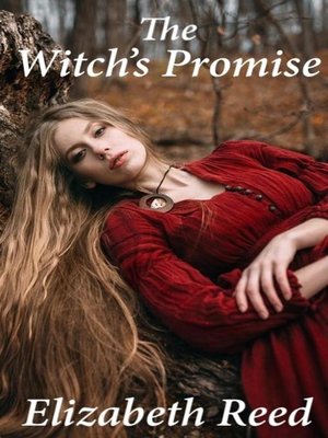 cover image of The Witch's Promise